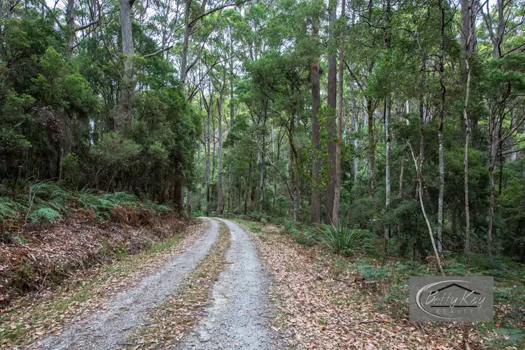 Seventh view of Homely land listing, Lot Ringle Doddy Road, South Forest TAS 7330