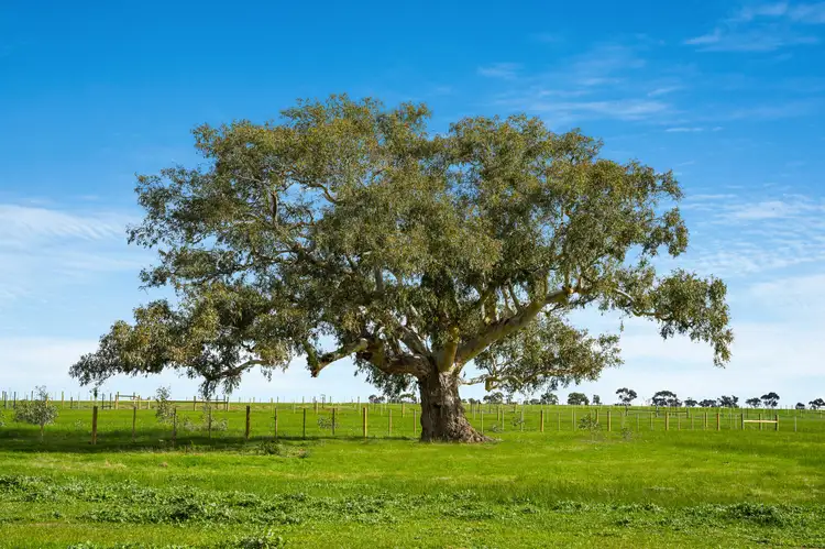 Fourth view of Homely land listing, LOT 237, 1 Moriarty Road, Inverleigh VIC 3321