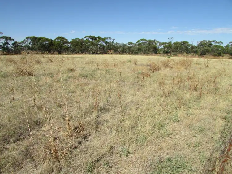 Fourth view of Homely land listing, lot 2/24 Anderson Avenue, Berriwillock VIC 3531