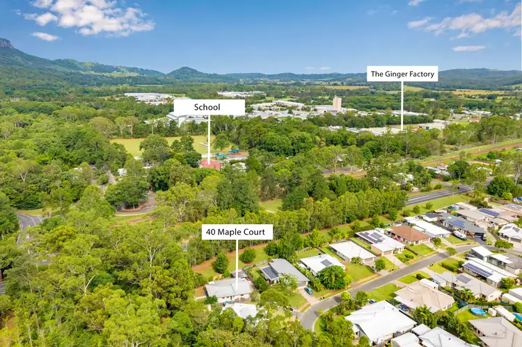 Main view of Homely house listing, 40 Maple Court, Yandina QLD 4561