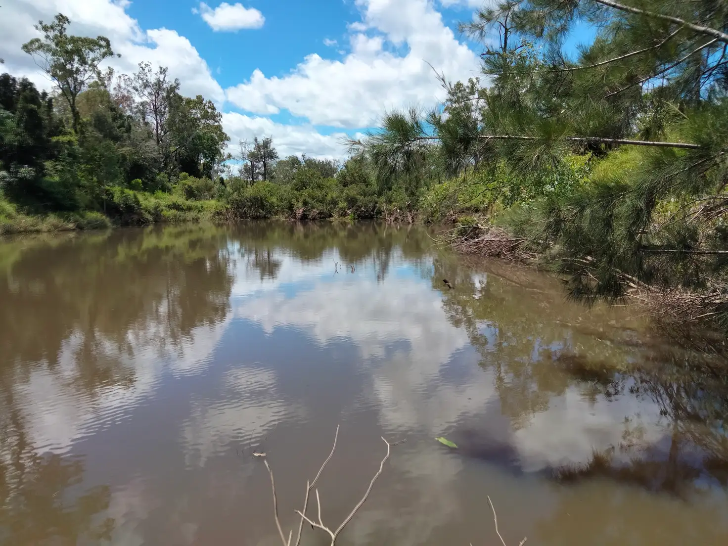 Main view of Homely rural property listing, 83 Hofsetter Road, Morganville QLD 4671