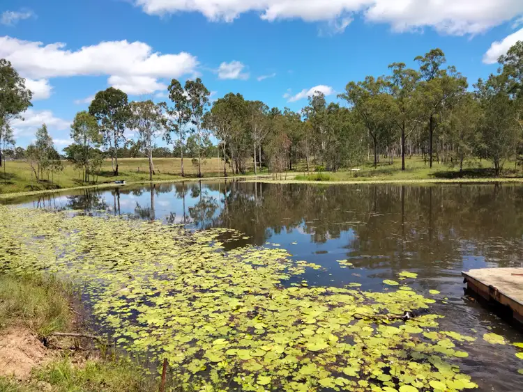 Fifth view of Homely rural property listing, 83 Hofsetter Road, Morganville QLD 4671