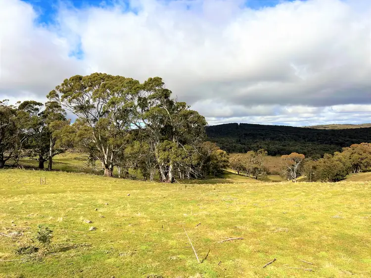 Fourth view of Homely rural property listing, LOT 34/6875 Taralga Road, Taralga NSW 2580