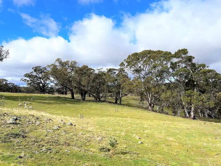 Fifth view of Homely rural property listing, LOT 34/6875 Taralga Road, Taralga NSW 2580