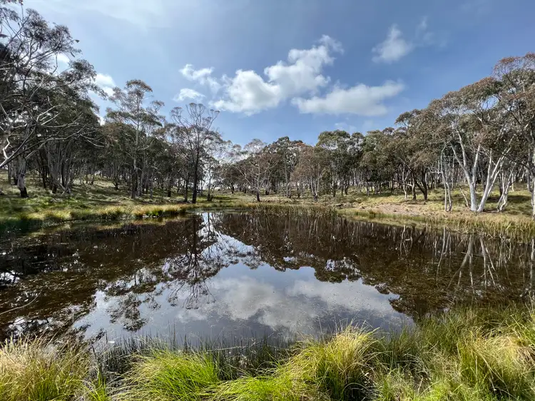 Fourth view of Homely rural property listing, LOT 143, 6875 Taralga Road, Taralga NSW 2580