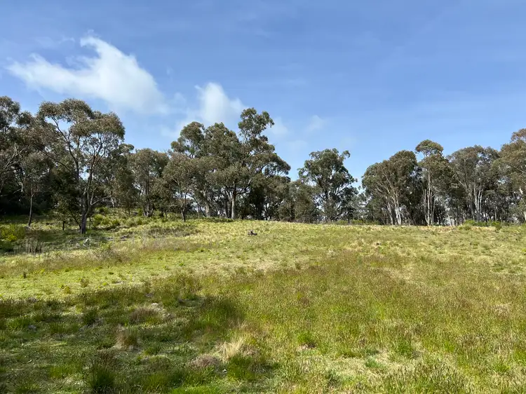 Sixth view of Homely rural property listing, LOT 143, 6875 Taralga Road, Taralga NSW 2580