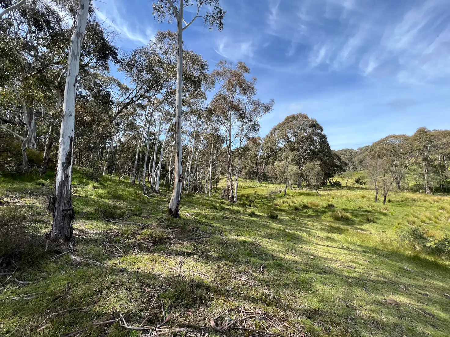Main view of Homely rural property listing, LOT 143, 6875 Taralga Road, Curraweela NSW 2580
