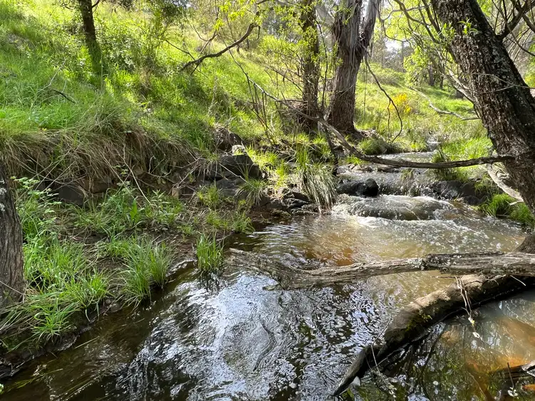 Second view of Homely rural property listing, LOT 143, 6875 Taralga Road, Curraweela NSW 2580