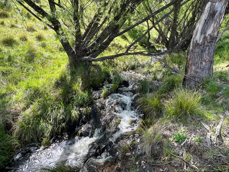 Third view of Homely rural property listing, LOT 143, 6875 Taralga Road, Curraweela NSW 2580
