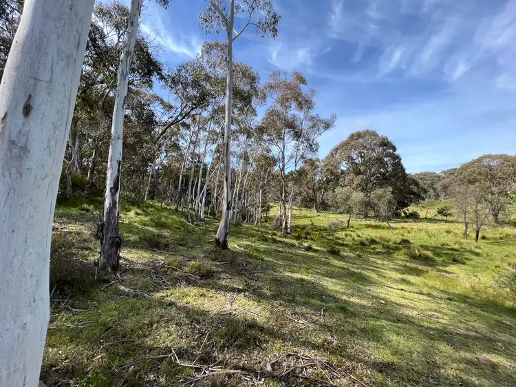Fifth view of Homely rural property listing, LOT 143, 6875 Taralga Road, Curraweela NSW 2580