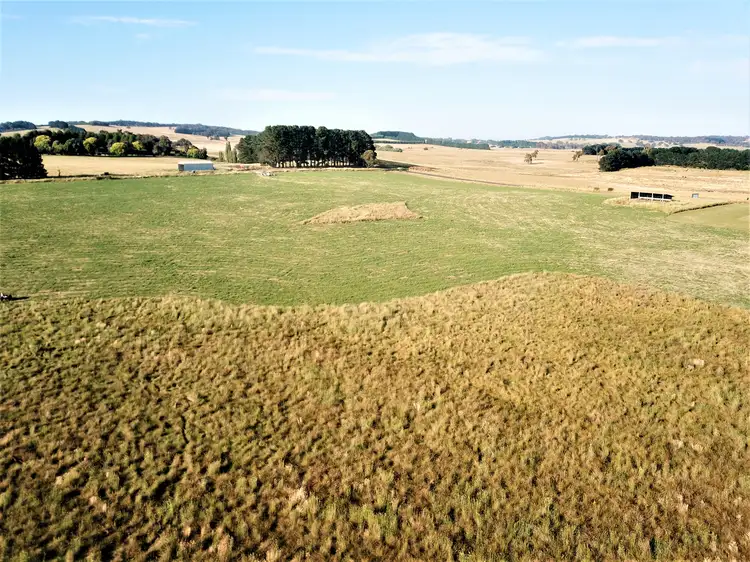 Fourth view of Homely rural property listing, 90 McKellars Lane, Hobbys Yards NSW 2795