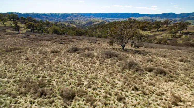 Seventh view of Homely rural property listing, 67 Bullocks Flat Road, Upper Turon NSW 2795