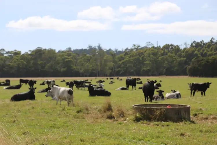 Fourth view of Homely rural property listing, Wedge Plains Road, Lileah TAS 7330