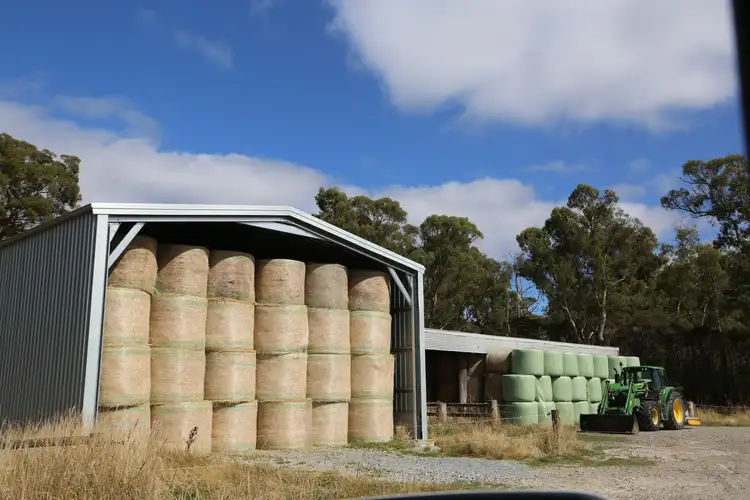 Fifth view of Homely rural property listing, Wedge Plains Road, Lileah TAS 7330