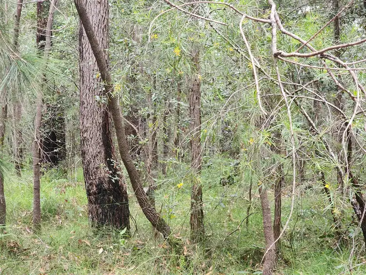 Fifth view of Homely land listing, 2 Nebraska Road, St Georges Basin NSW 2540