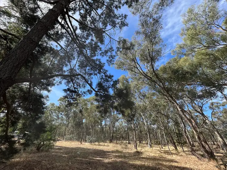 Third view of Homely land listing, 23 Dunolly-Eddington Road, Dunolly VIC 3472