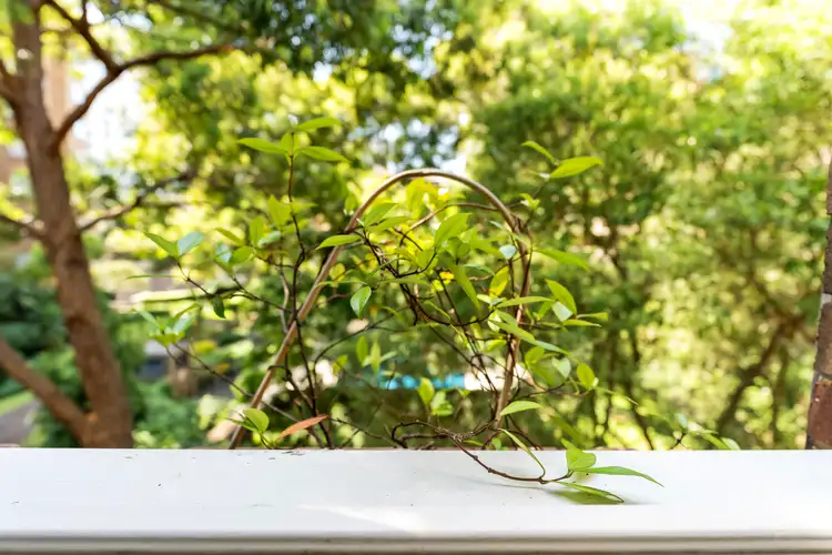 Fifth view of Homely apartment listing, 17/3A Farrell Avenue, Darlinghurst NSW 2010