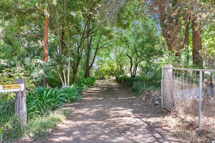 Main view of Homely house listing, 241 Harpers Road, Barjarg VIC 3723