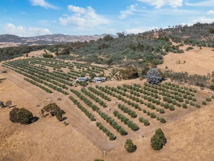 Second view of Homely rural property listing, 93 Meadows Lane Marraweeny, Strathbogie VIC 3666