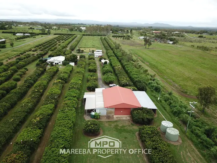 Second view of Homely rural property listing, 209 Malone Road, Mareeba QLD 4880