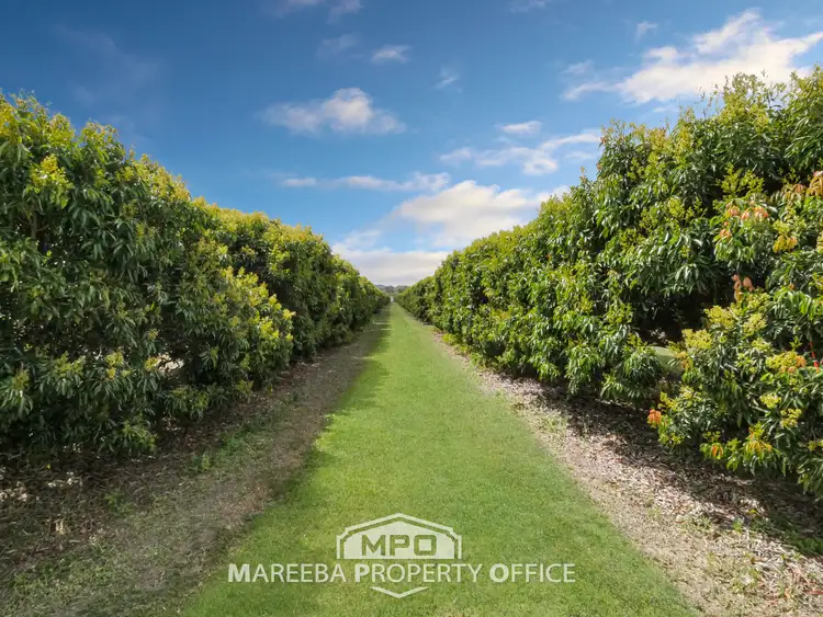 Third view of Homely rural property listing, 209 Malone Road, Mareeba QLD 4880
