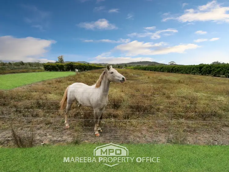 Fourth view of Homely rural property listing, 209 Malone Road, Mareeba QLD 4880