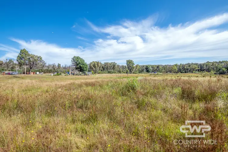 Second view of Homely land listing, LOT 318 Torrington Road, Torrington NSW 2371