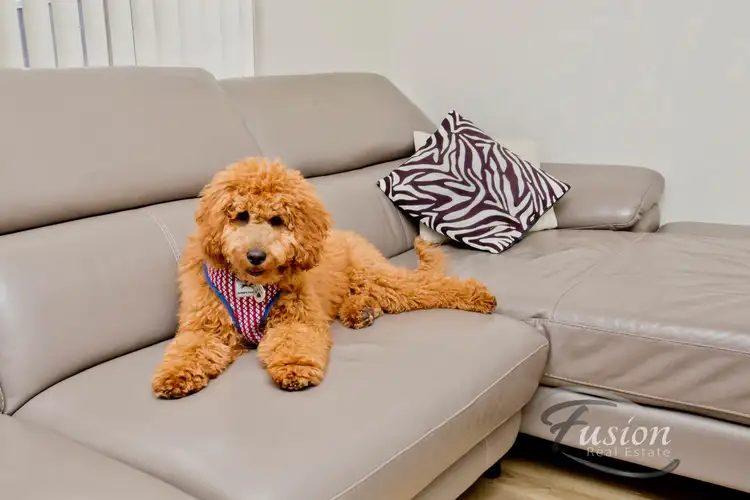 Sixth view of Homely house listing, 23 Strathyre Drive, Duncraig WA 6023