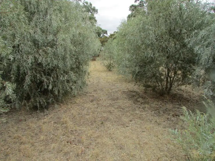 Sixth view of Homely land listing, 1 McIntosh Avenue, Rupanyup VIC 3388