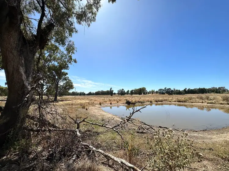 LOT 97 Urana Road, Rand NSW 2642