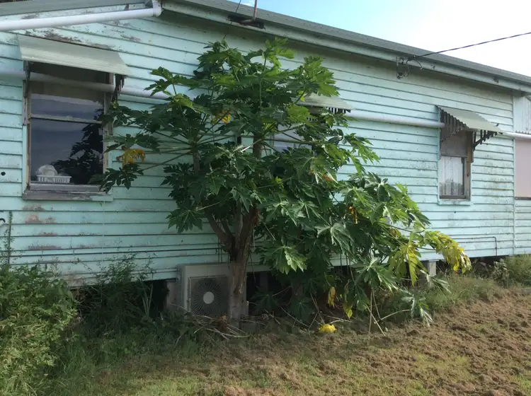 Seventh view of Homely rural property listing, 69 Cyrils Road, Yandaran QLD 4673