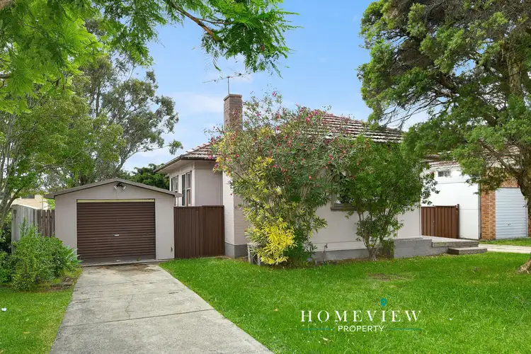 19 Dorothy Street, Chester Hill NSW 2162