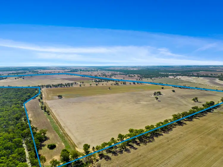 337 & 621 Taylors Road, Tocumwal NSW 2714