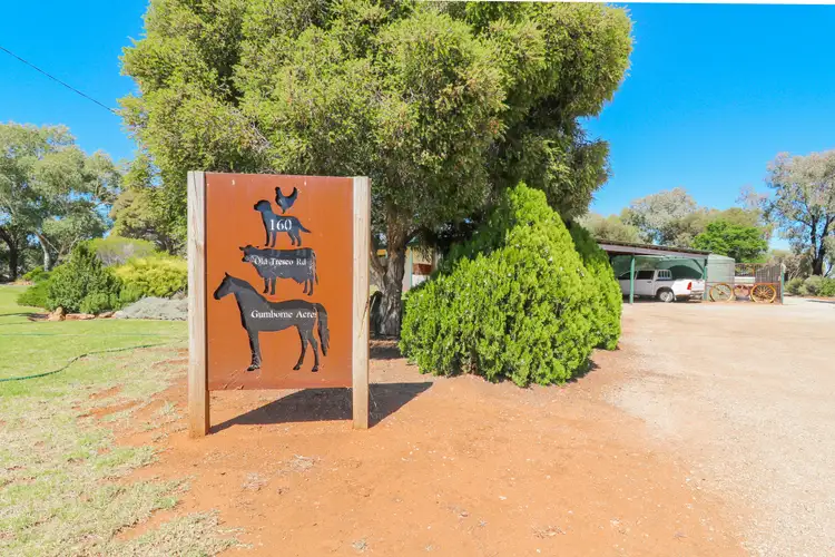 Third view of Homely rural property listing, 160 Old Tresco Road, Lake Boga VIC 3584