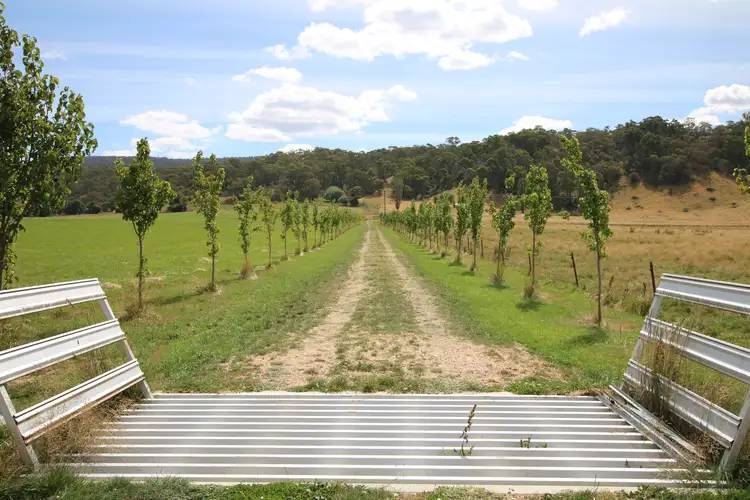 Main view of Homely rural property listing, LOT 25, Lot Yaouk Road, Yaouk NSW 2629