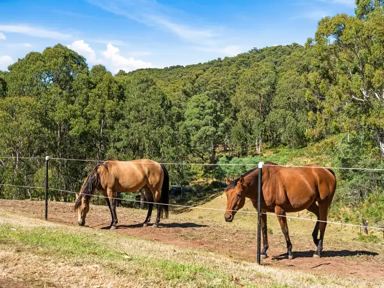 Second view of Homely rural property listing, 118 Facey Drive, Tolmie VIC 3723
