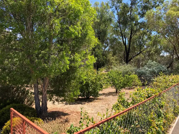 Fourth view of Homely rural property listing, 45 Commercial Road, Tarnagulla VIC 3551