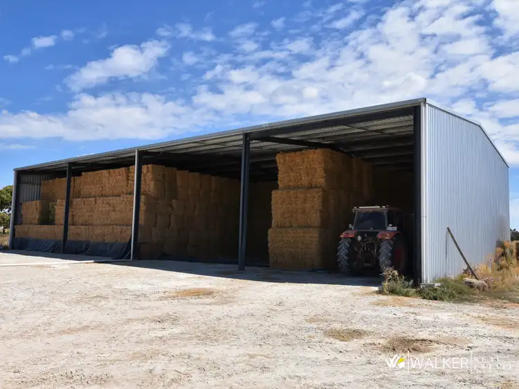 Second view of Homely rural property listing, 845 Trevaskis Road, Kyabram VIC 3620