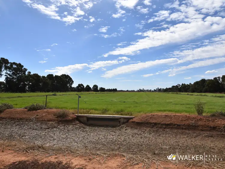 Third view of Homely rural property listing, 845 Trevaskis Road, Kyabram VIC 3620
