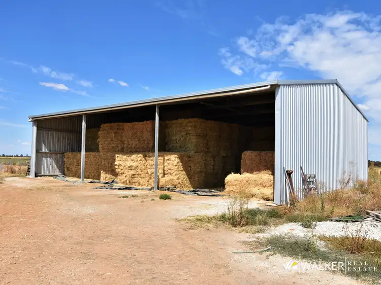 Fifth view of Homely rural property listing, 845 Trevaskis Road, Kyabram VIC 3620