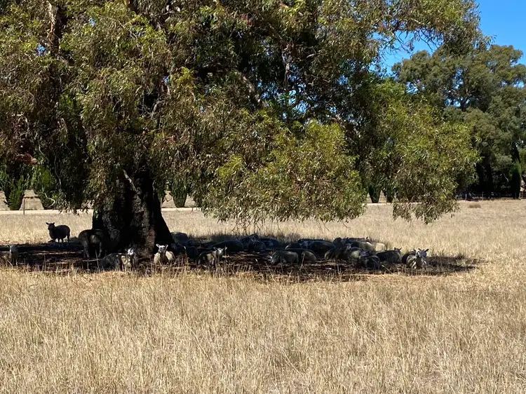Third view of Homely land listing, LOT 189 Vigars Road, Eden Valley SA 5235