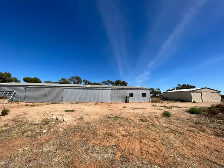 Third view of Homely rural property listing, 60 KLOSES ROAD, Cambrai SA 5353