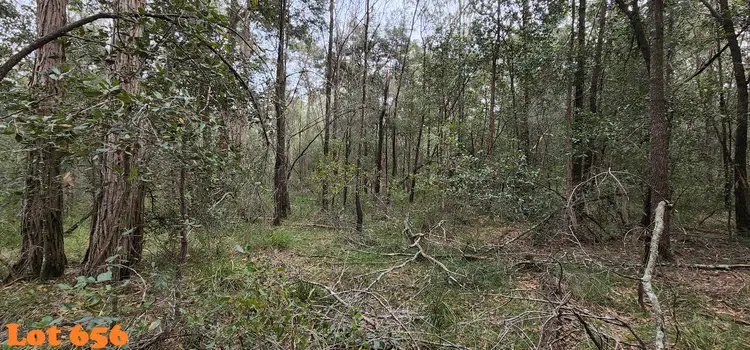 Third view of Homely land listing, Lot 657 Clarendon Crescent, Basin View NSW 2540
