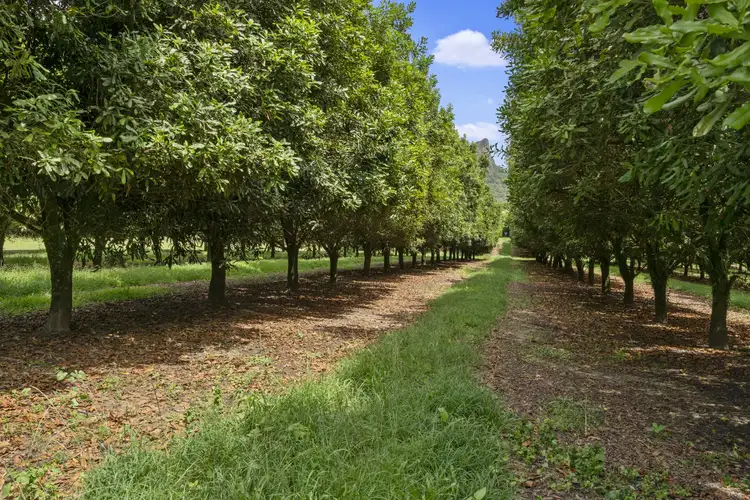 Second view of Homely house listing, 276 Pikes Road, Glass House Mountains QLD 4518
