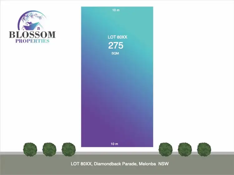 LOT Lot 80XX Diamondback Parade, Melonba NSW 2765