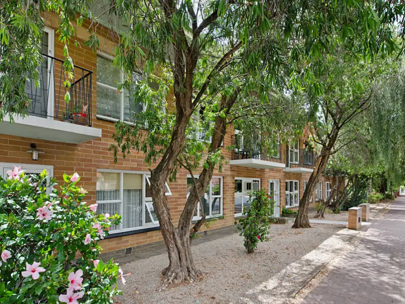 Main view of Homely apartment listing, 6/72 Duthy Street, Malvern SA 5061