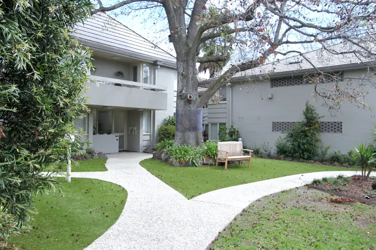 Main view of Homely apartment listing, 14/48 Lansell Road, Toorak VIC 3142