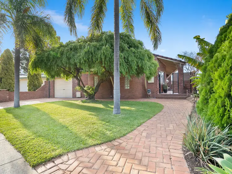 Main view of Homely house listing, 94 Talbot Drive, Kingsley WA 6026
