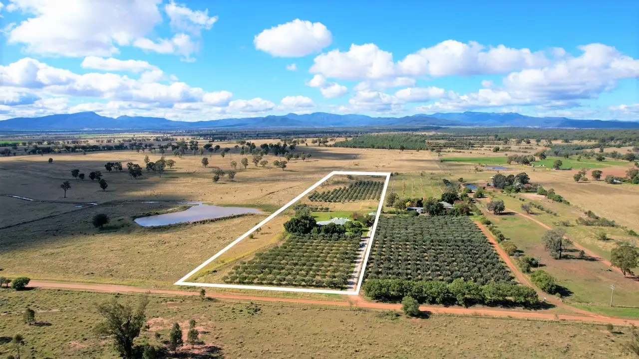 Main view of Homely rural property listing, 538 Murrumbilla Lane, Narrabri NSW 2390