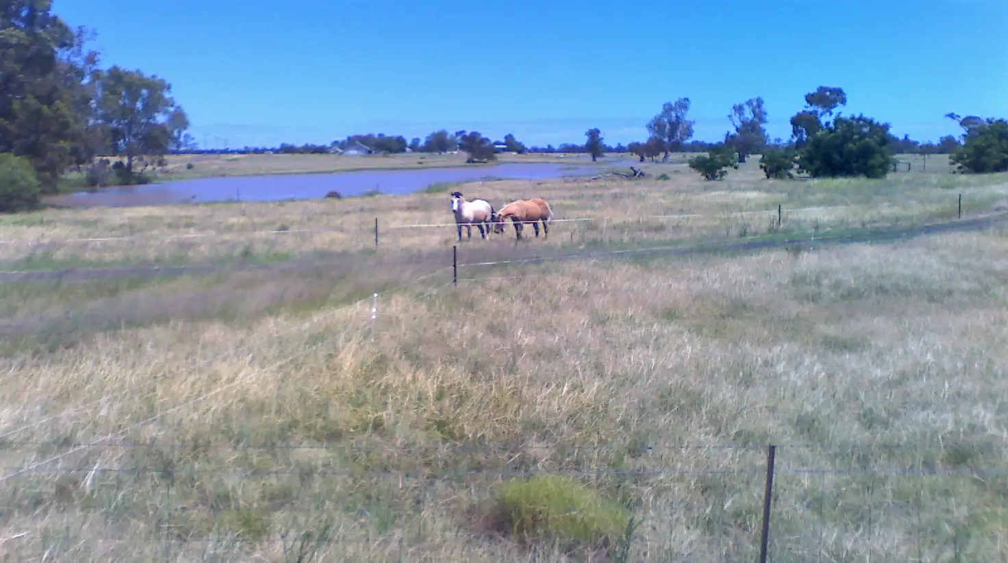 Main view of Homely land listing, 18 The Island Road, Narrabri NSW 2390